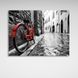 Картина чорно-біле забарвлення вулиці з яскраво червоним велосипедом на полотні 11689 фото 2